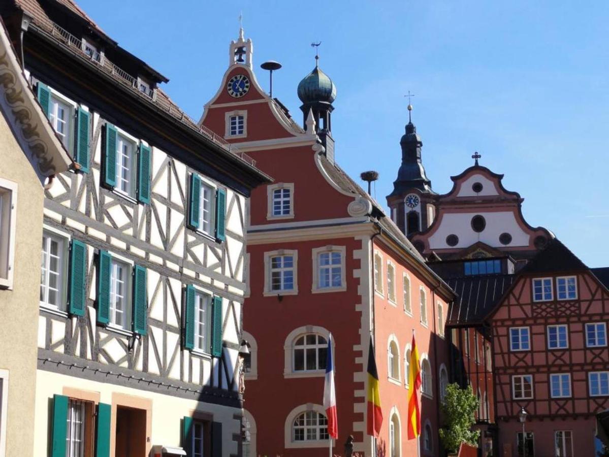 Apartament Perfekt Fuer Familien Und Gruppen Nur 10Min Vom Europapark - W6 Ettenheim Zewnętrze zdjęcie